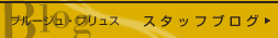 ブルージュ・プリュスブログ